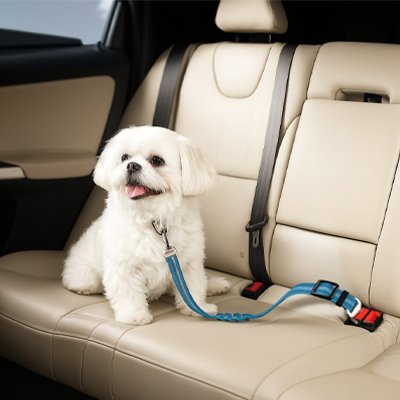 Ceinture de sécurité pour chien | TravelGuard